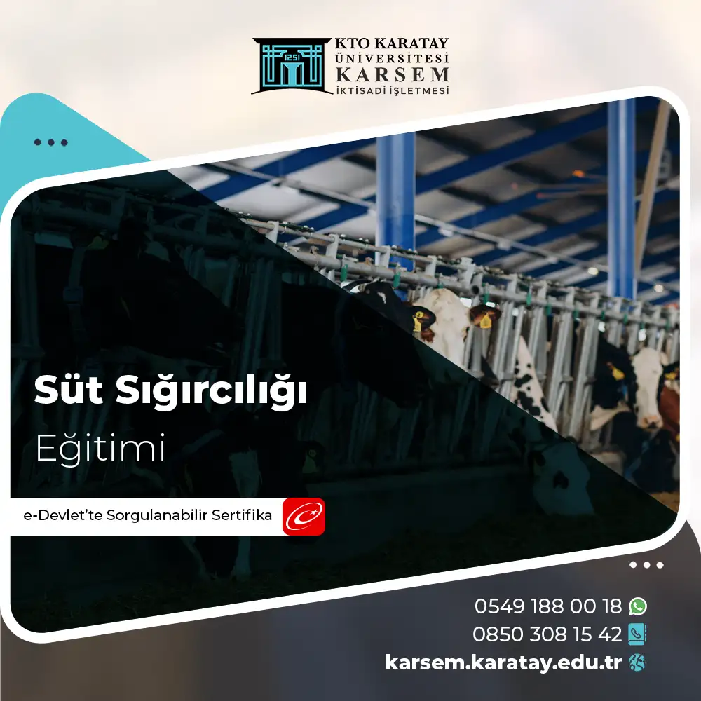 Süt Sığırcılığı Sertifika Programı 