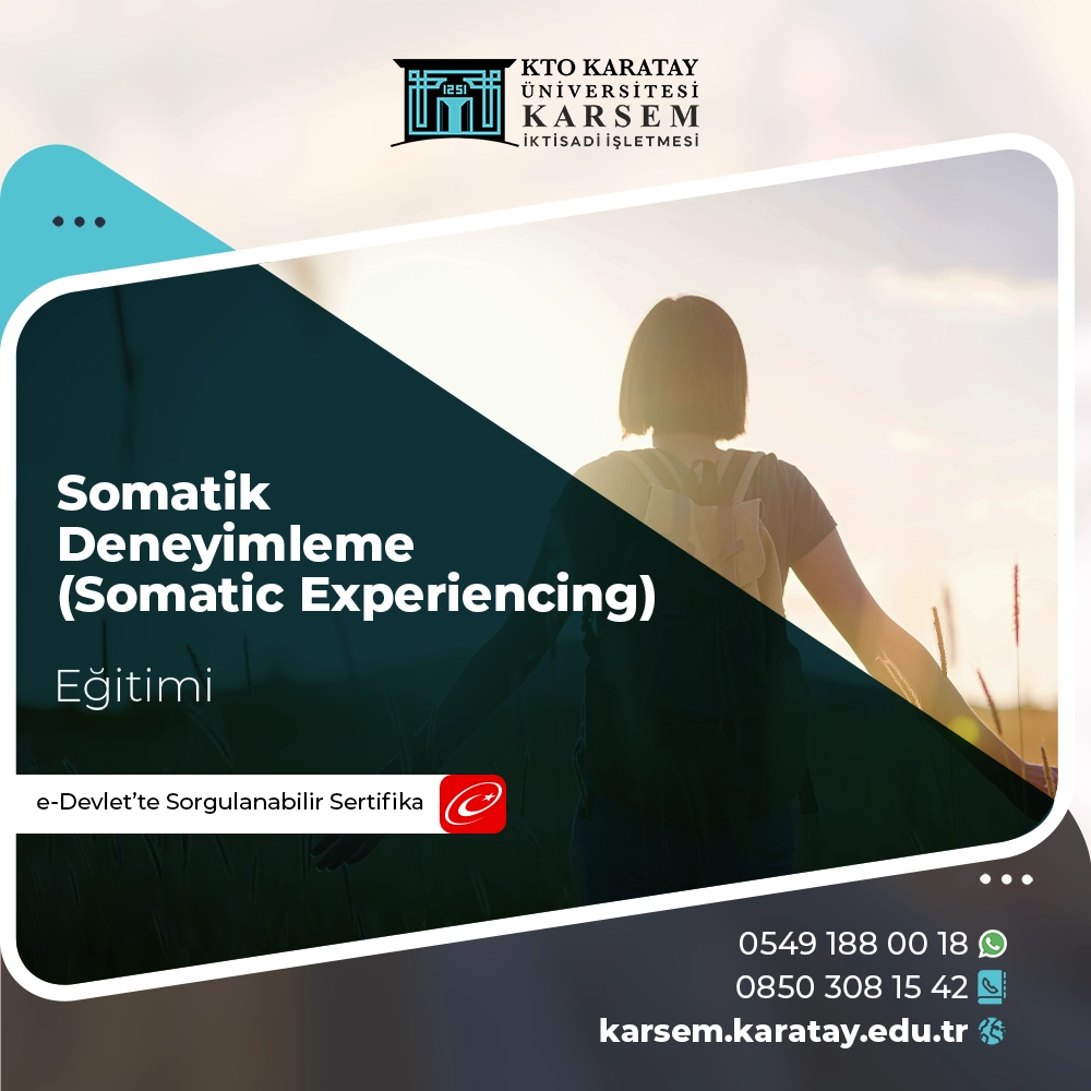 Somatik Deneyimleme (Somatic Experiencing) Sertifika Programı