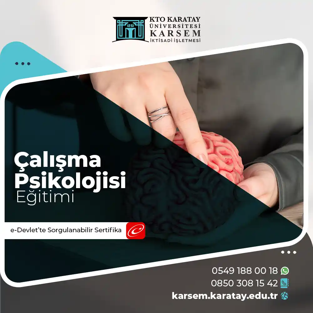 Çalışma Psikolojisi Eğitimi Sertifika Programı